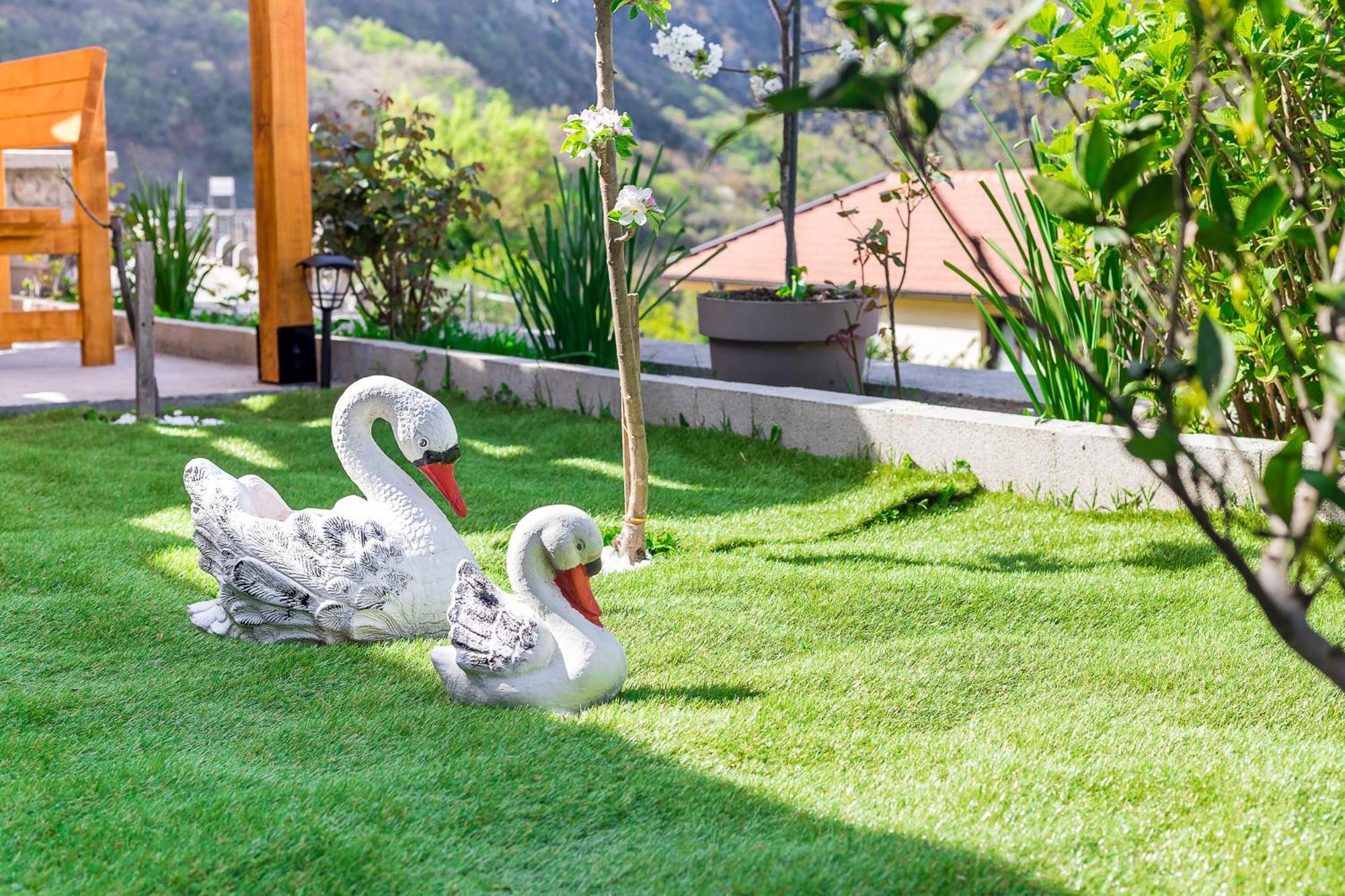 Apartment Petar 1 Kotor Ngoại thất bức ảnh
